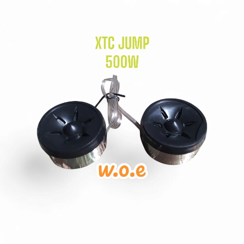 XTC TWEETER 500W UP 1 1/4" - Image 2